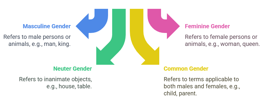 Gender | English Olympiad for Class 2