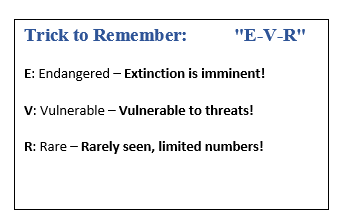 Biodiversity & Conservation Class 11 Geography