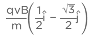 JEE Main Previous Year Questions (2016- 2025): Moving Charges & Magnetism- 1