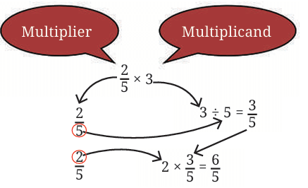 Working with Fractions Class 7 Notes Maths Chapter 8 Free PDF