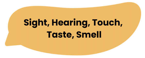 Worksheet Solutions: Our 5 Senses - 1 | General Knowledge for Young Learners - Class 1