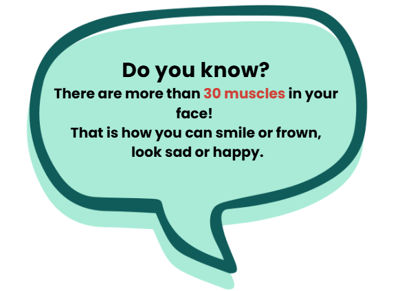 Bones, Muscles and Postures Class 2 Notes Science