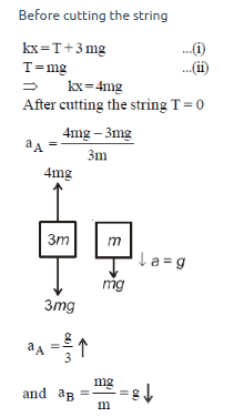 NEET Previous Year Questions (2015-2025): Laws of Motion | Physics Class 11