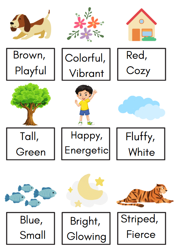 Worksheet Solutions: Adjectives - 1 | English Grammar for Junior Classes - Class 1