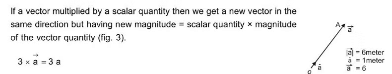 Vector & Scalar Quantities | Physics Class 11 - NEET