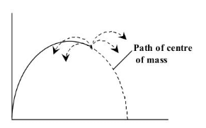 Centre of Mass | Physics Class 11 - NEET