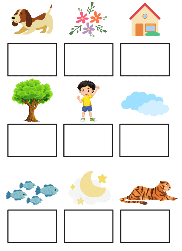 Worksheet Solutions: Adjectives - 1 | English Grammar for Junior Classes - Class 1