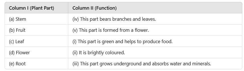 Class 3 Science - Parts of a Plant - CBSE Worksheets Solutions