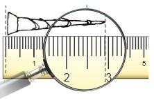 NCERT Solutions: Tenths and Hundredths