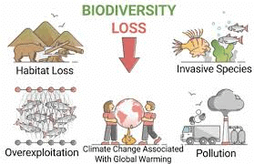 Biodiversity & Conservation Class 11 Geography