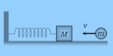 Collisions | Physics Class 11 - NEET