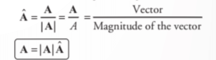 Vector & Scalar Quantities | Physics Class 11 - NEET