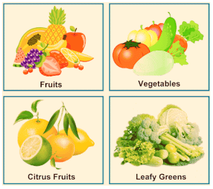 Food Chapter Notes | Science Olympiad for Class 3