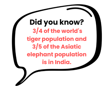 Elephants, Tigers, and Leopards Class 4 Notes Maths Chapter 10 Free PDF