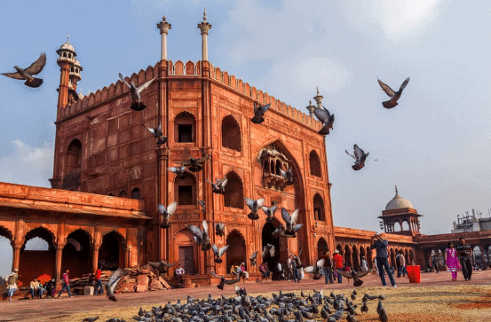 Delhi - 1 Class 3 Worksheet SST