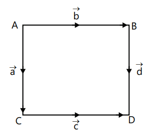 Vector & Scalar Quantities | Physics Class 11 - NEET