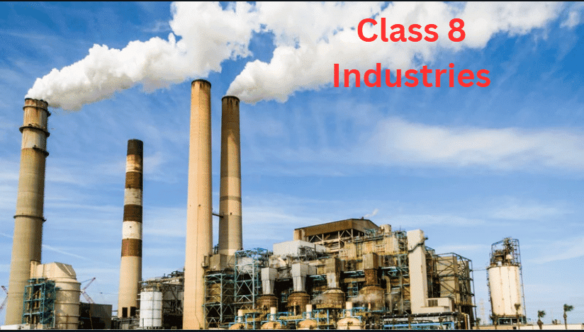 MCQ (Solution) - Industries | Social Studies (SST) Class 8