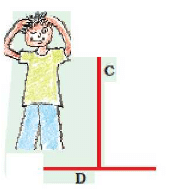 NCERT Solutions: Tenths and Hundredths