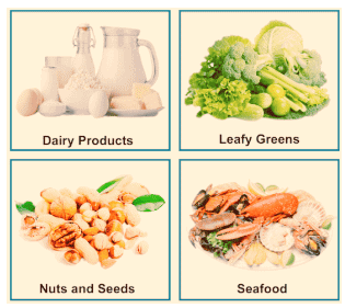 Food Chapter Notes | Science Olympiad for Class 3