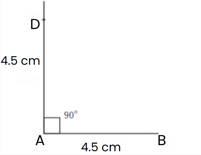 Practice Questions: Playing with Constructions | Mathematics for Class 6