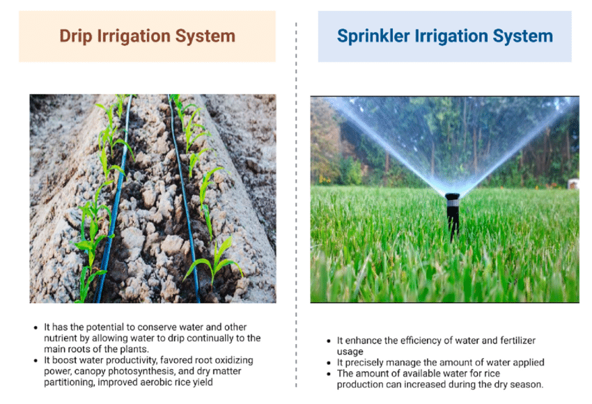 Lakhmir Singh & Manjit Kaur: Crop Production and Management- 2 | Science Class 8