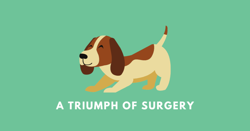 Class 10 English Chapter 1 Previous Year Questions - A Triumph of Surgery