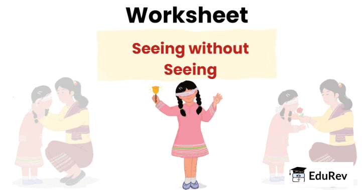Seeing without Seeing - 2 Class 2 Worksheet English