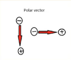 Polar Vectors