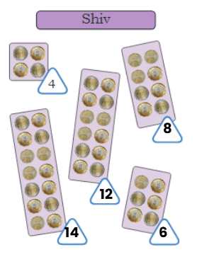 Patterns Around Us Class 4 Notes Maths Chapter 3 Free PDF