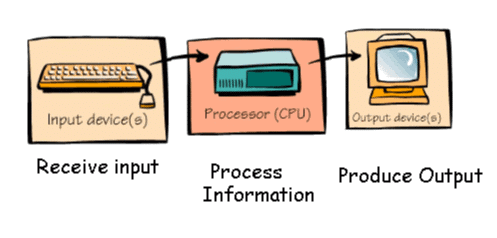 Input and Output Devices | Computer Science for Class 3