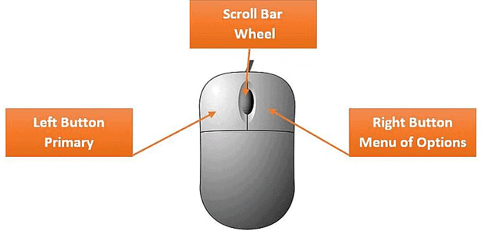 Fundamentals of Computer | Computer Science for Class 3
