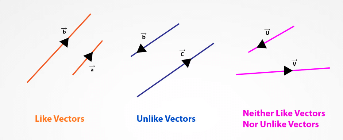 Vectors: Definition, Types & Unit Vectors | Physics for JEE Main & Advanced