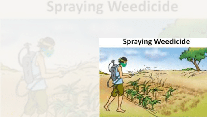 Protection from Weed