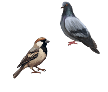 Animals Around Us - CBSE Worksheets- 1 Solutions