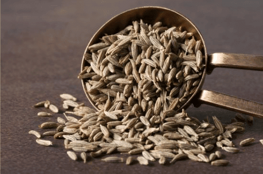 Short and Long Question Answers: Spices that Heal Us | Short & Long Answer Questions for Class 6