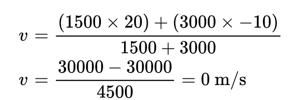 Centre of Mass | Physics Class 11 - NEET
