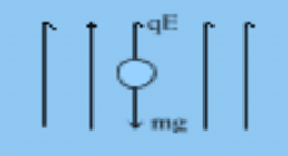Numerical Problems: Electric Charges and Fields | Physics Class 12 - NEET