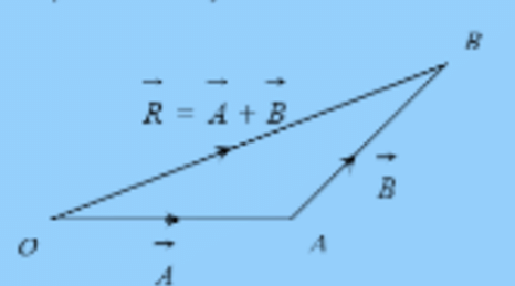 Vectors and their Addition & Subtraction | Physics Class 11 - NEET