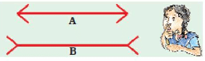 NCERT Solutions: Tenths and Hundredths
