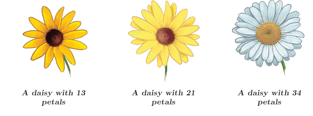 Number Play Class 7 Notes Maths Chapter 6 Free PDF