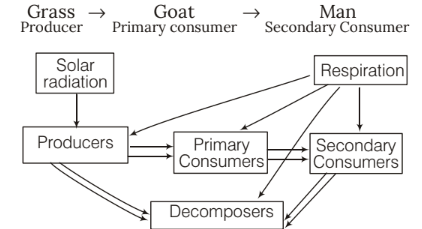 Notes: Natural Resources | Science & Pedagogy Paper 2 for CTET & TET Exams - CTET & State TET