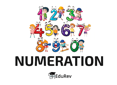 Notes: Numbers | Mathematics & Pedagogy Paper 1 for CTET & TET Exams - CTET & State TET