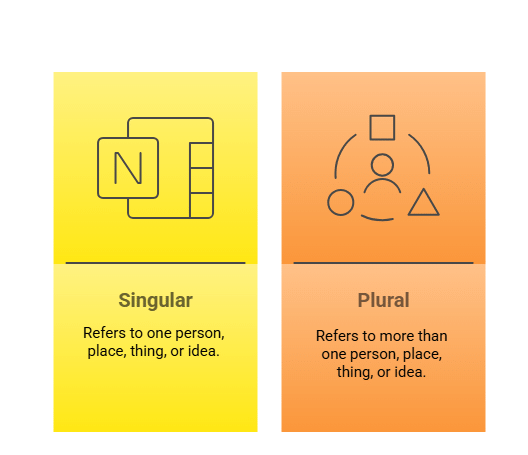 Singular and Plural Nouns | Basic English Grammar for Competitive Exams - Bank Exams