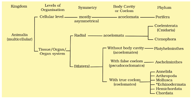 Notes: Living World | Science & Pedagogy Paper 2 for CTET & TET Exams - CTET & State TET