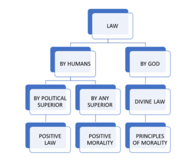 Jurisprudence, Nature and Meaning of Law | Legal Studies for Class 11 - Humanities/Arts