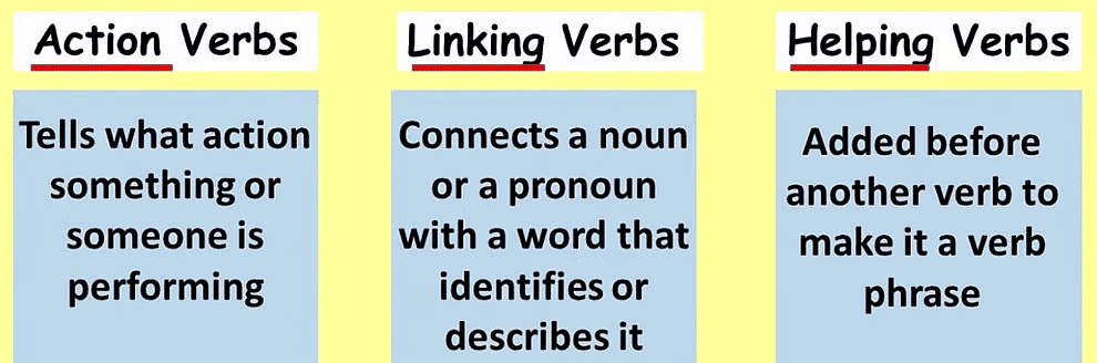 Key Notes: Verb | English Grammar Basic - Class 10