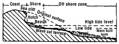 Important Questions: Landforms & their Evolution | Geography Class 11 - Humanities/Arts