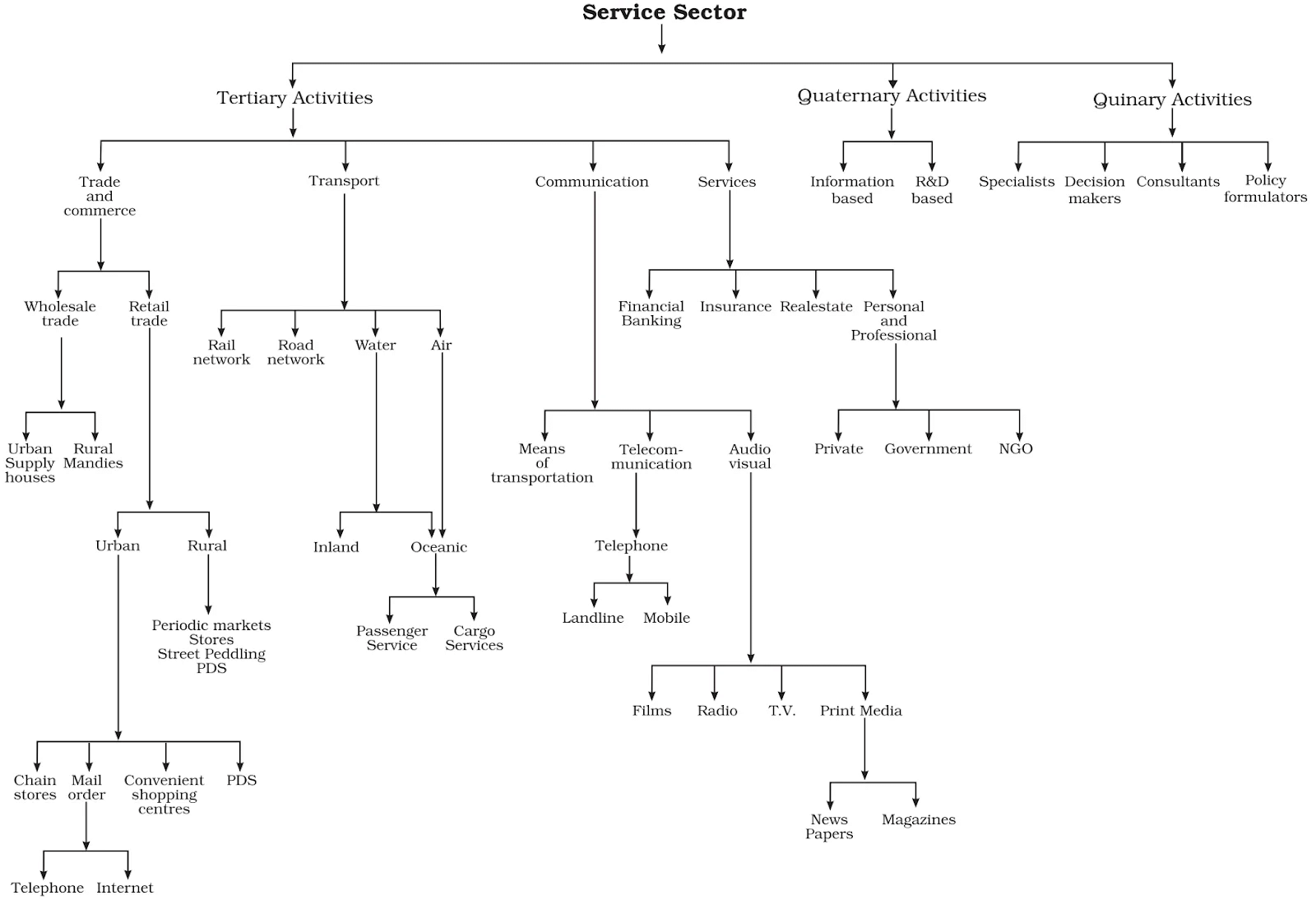 Tertiary And Quaternary Activities Class 12 Geography
