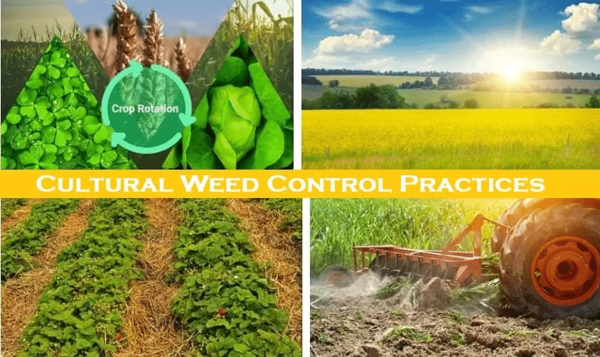 UPSC Mains Answer PYQ 2024: Agriculture Paper 1 (Section- A) | Agriculture Optional for UPSC