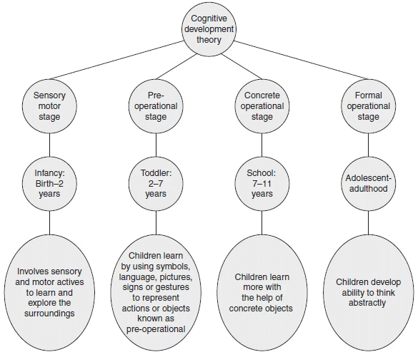 Notes: Cognitive Development Theory | Child Development and Pedagogy for CTET Preparation - CTET & State TET